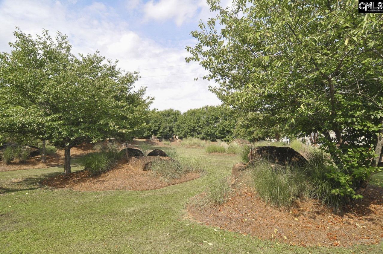 209 Northwood Street Photo 47