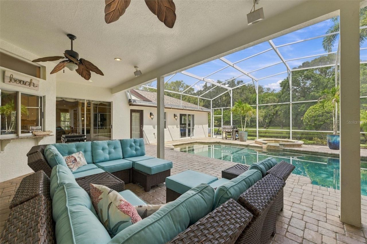 3921 Arlington Drive, Palm Harbor, FL 34685 Photo