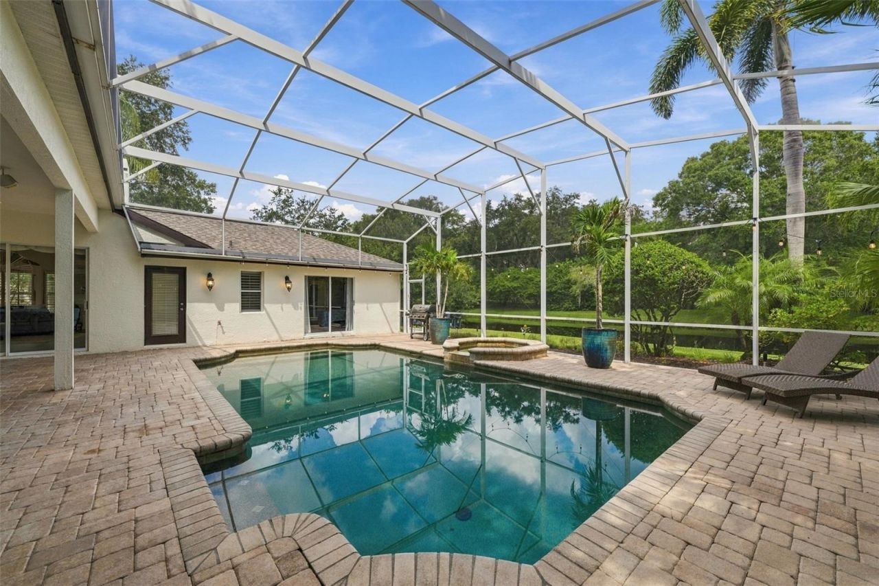 3921 Arlington Drive, Palm Harbor, FL 34685 Photo