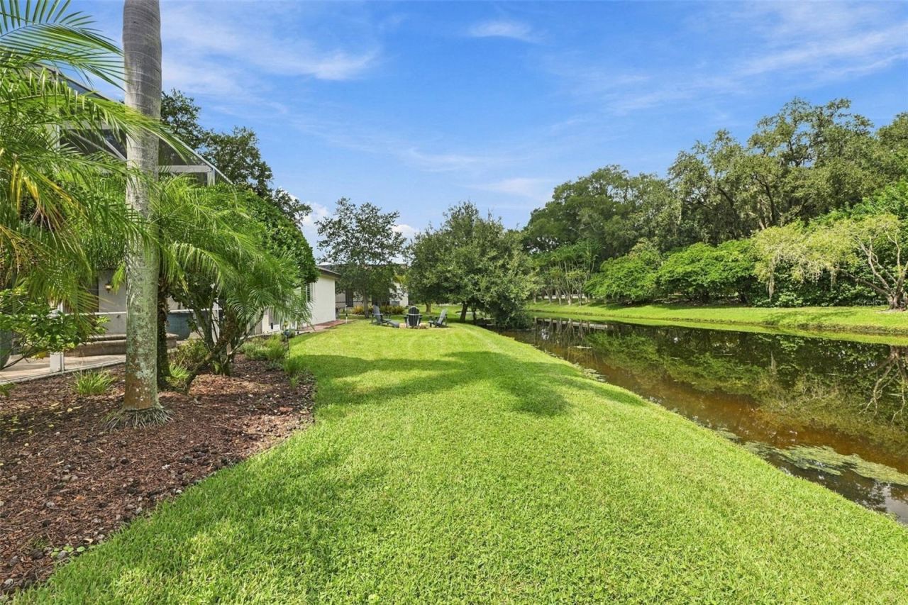 3921 Arlington Drive, Palm Harbor, FL 34685 Photo
