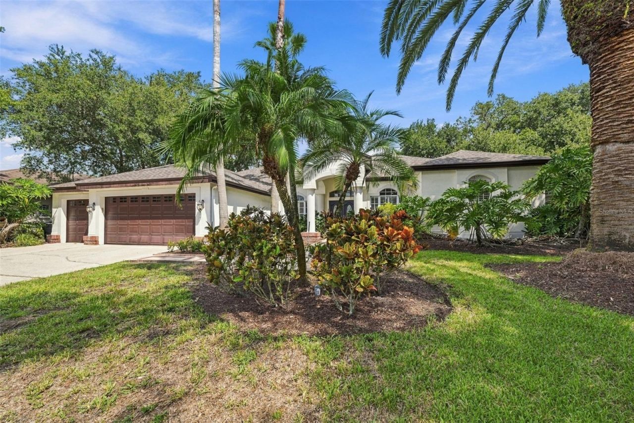 3921 Arlington Drive, Palm Harbor, FL 34685 Photo