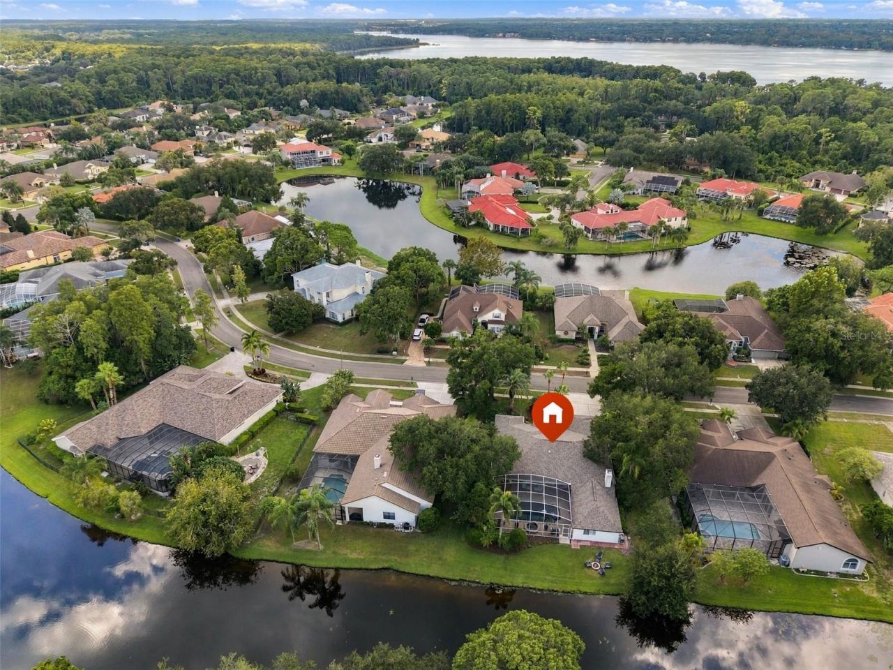 3921 Arlington Drive, Palm Harbor, FL 34685 Photo