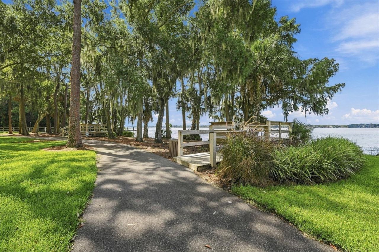 3921 Arlington Drive, Palm Harbor, FL 34685 Photo