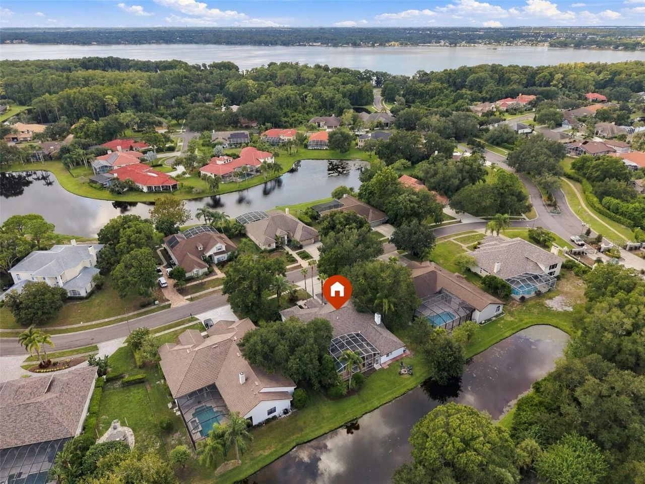 3921 Arlington Drive, Palm Harbor, FL 34685 Photo
