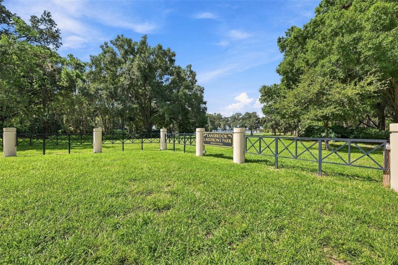 3921 Arlington Drive, Palm Harbor, FL 34685 Photo