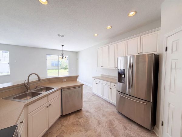 17534 BALMAHA DRIVE , LAND O LAKES, FL 34638
