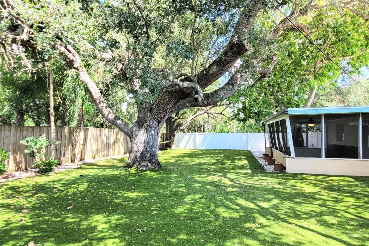 2975 Louise Street, Sarasota, FL 34237 Photo