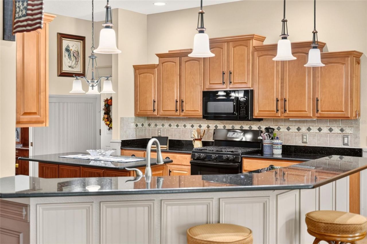 1793 Hartford Path, The Villages, FL 32162 Photo