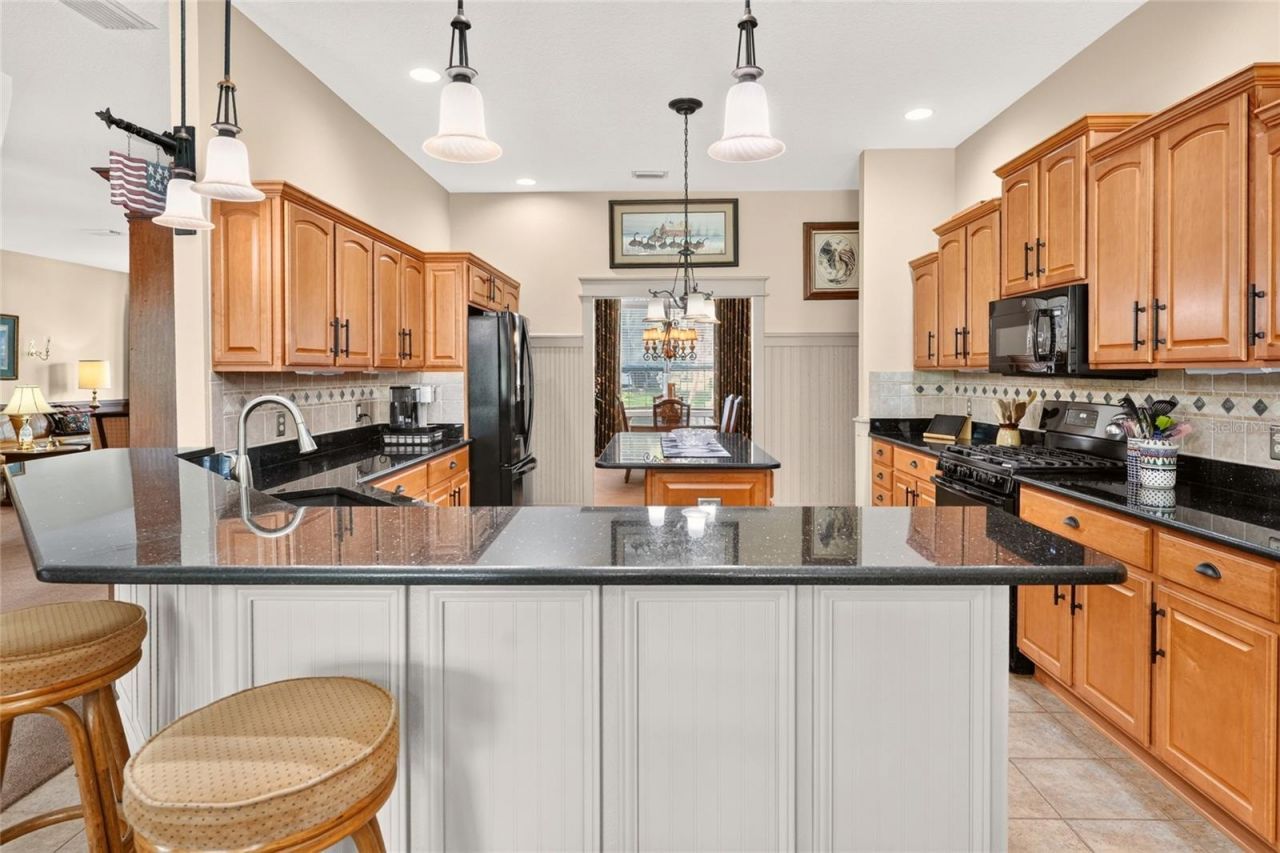 1793 Hartford Path, The Villages, FL 32162 Photo