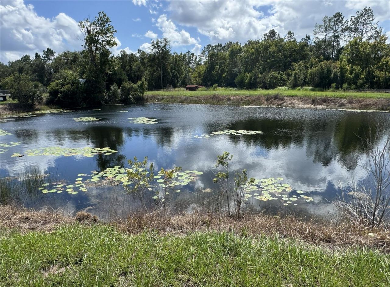 402 N Center Street, Pierson, FL 32180 Photo