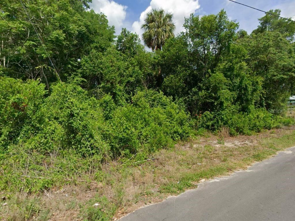 100 S Tern Point, Inverness, FL 34450 Photo
