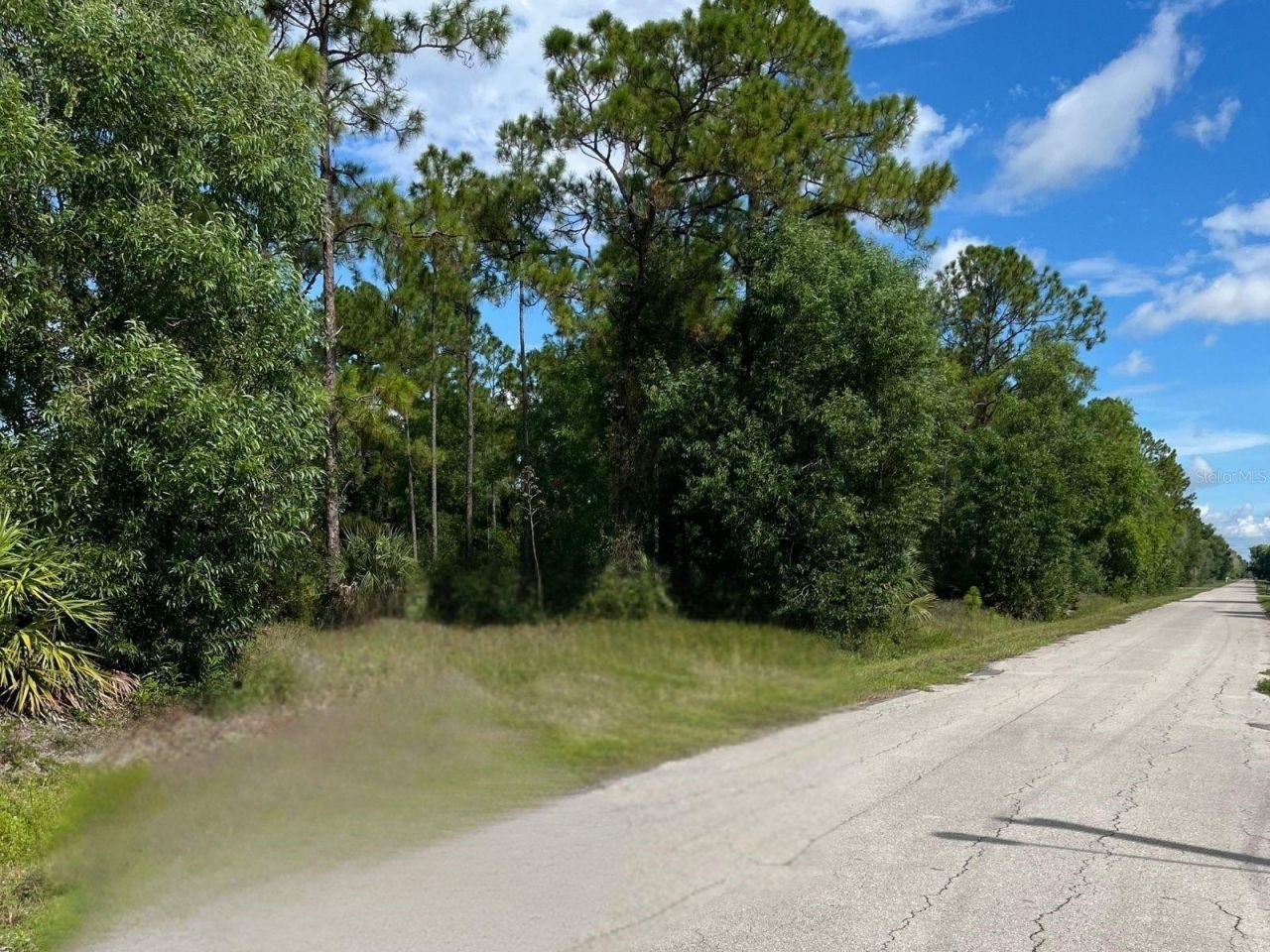 12 Monroe Avenue, Lehigh Acres, FL 33936 Photo