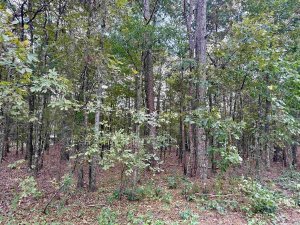 Lot 6 Ellen, Higden, AR 72067