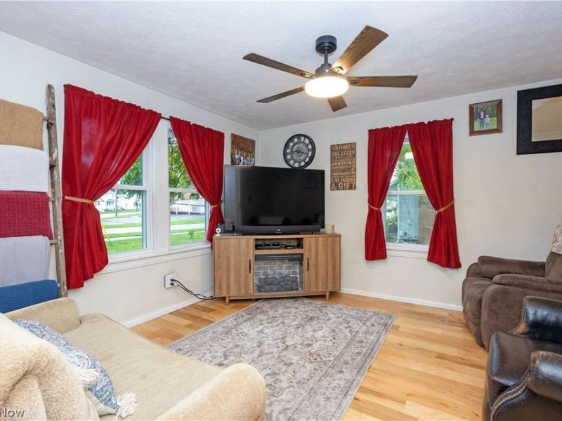 314 N Summit Street, Smithville, OH 44677 Photo 4