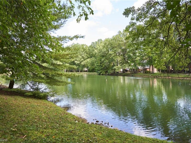 315 Hollythorn Drive, Copley, OH 44321 Photo 3