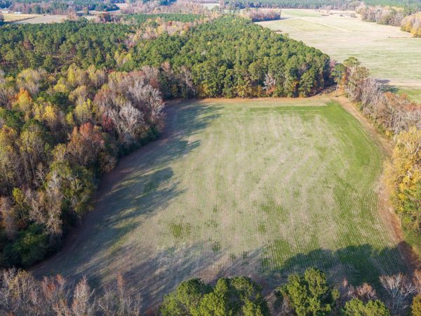 41.5 Acres High School Road , Teachey, NC 28464