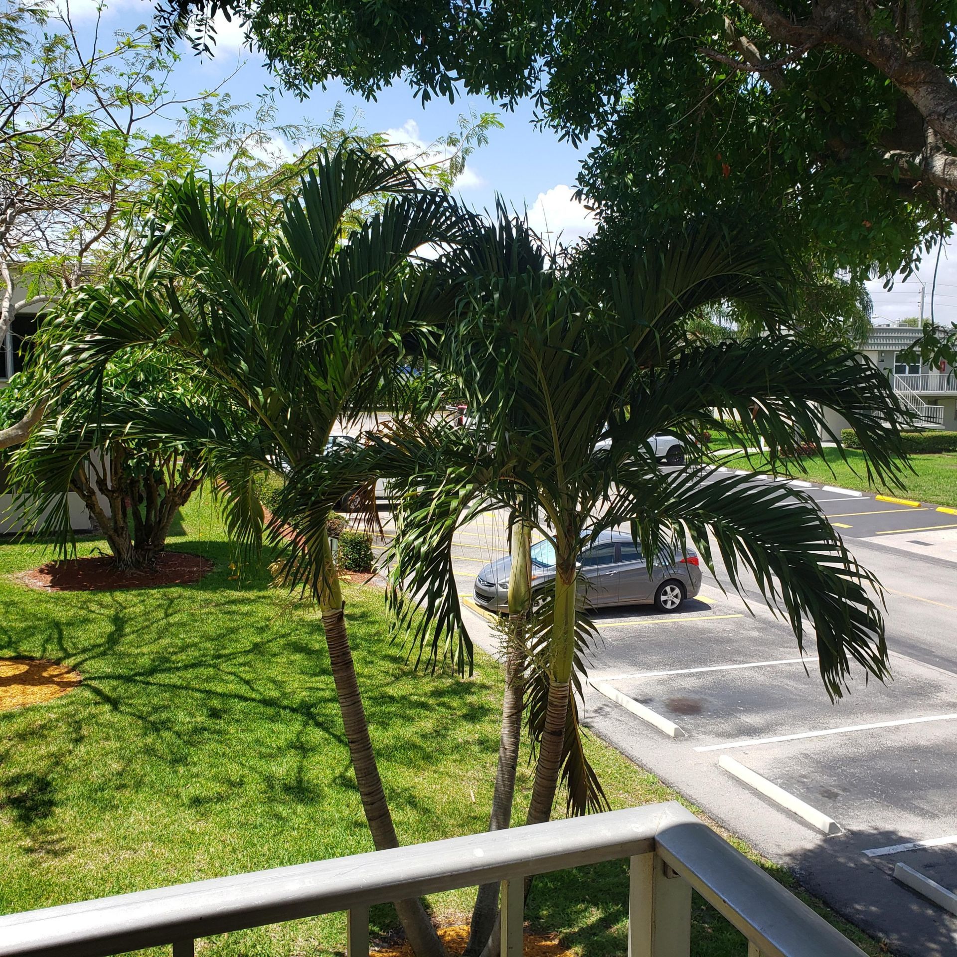 912 Flanders S, Delray Beach, FL 33484 Photo