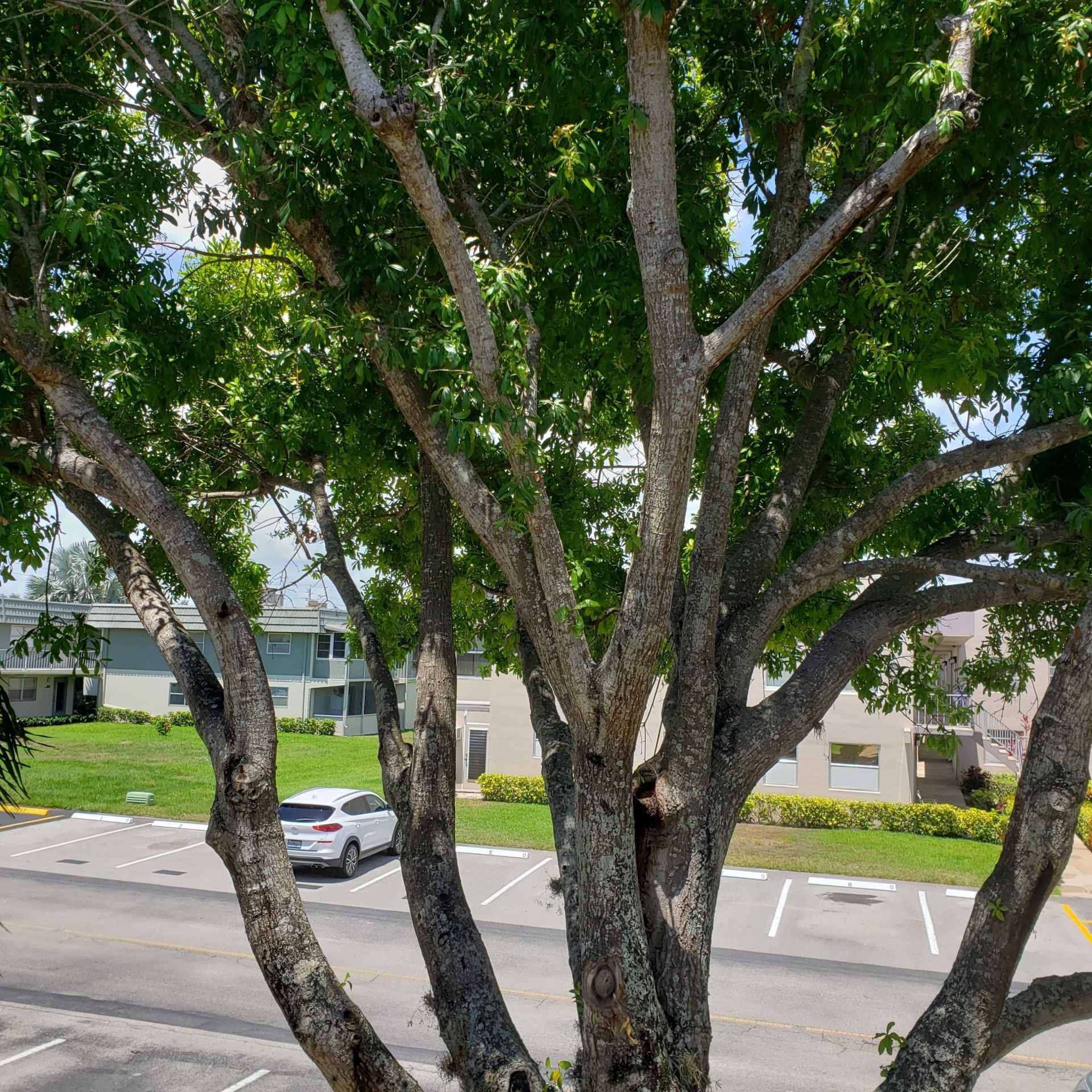 912 Flanders S, Delray Beach, FL 33484 Photo