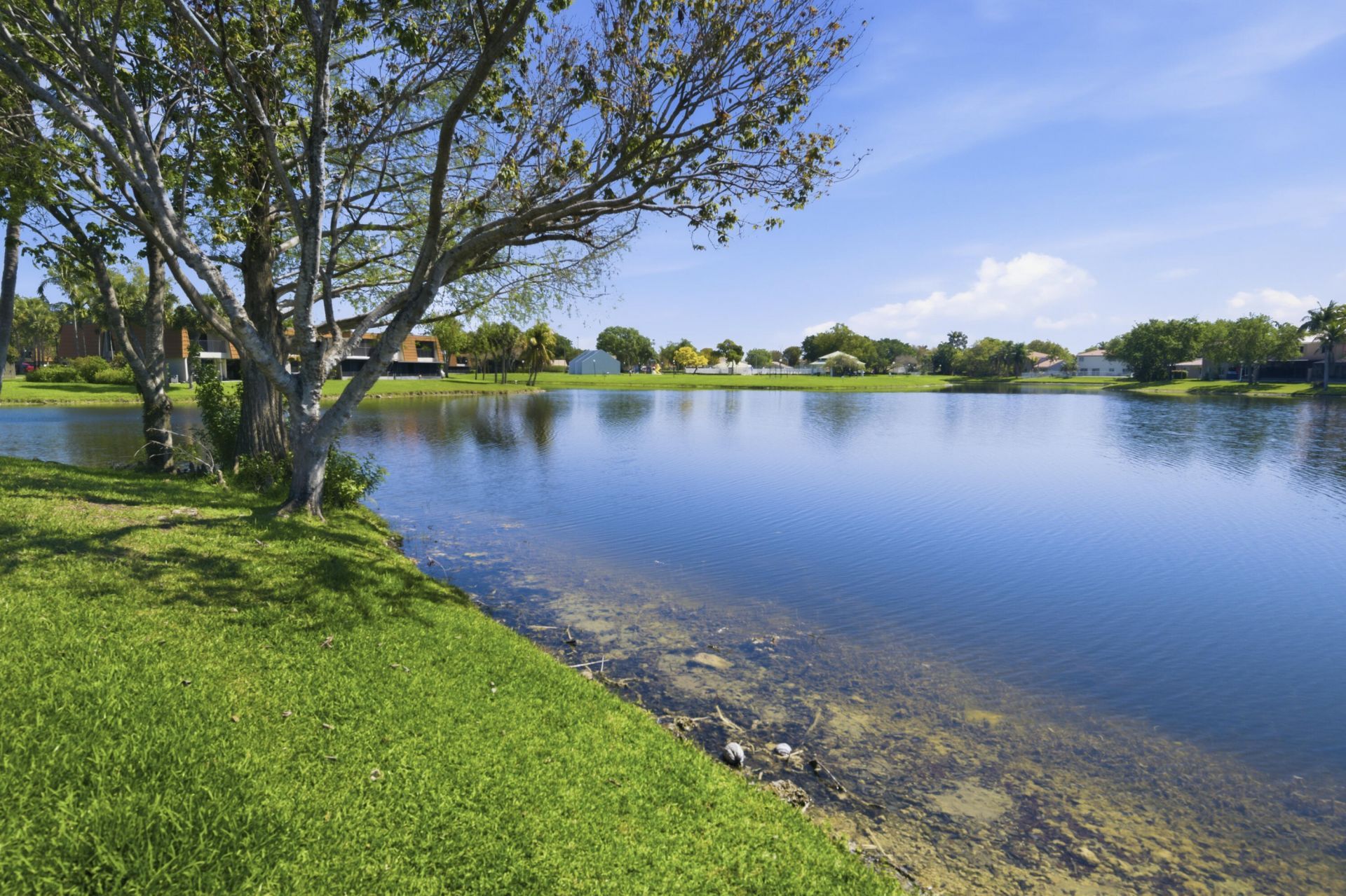 11014 SW 15th Manor, Unit -, Davie, FL 33324 Photo