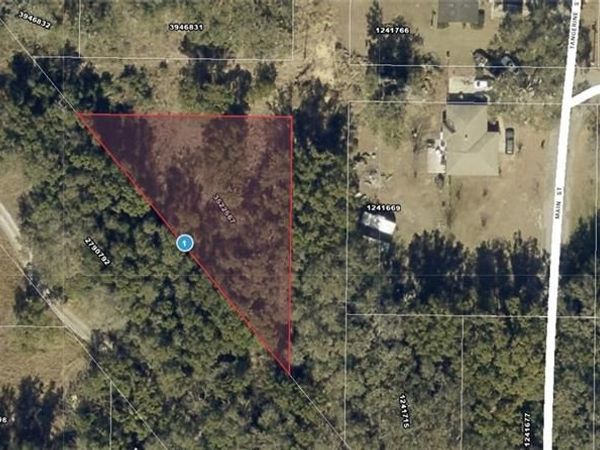 xxx Tangerine ST , YALAHA, FL 34797