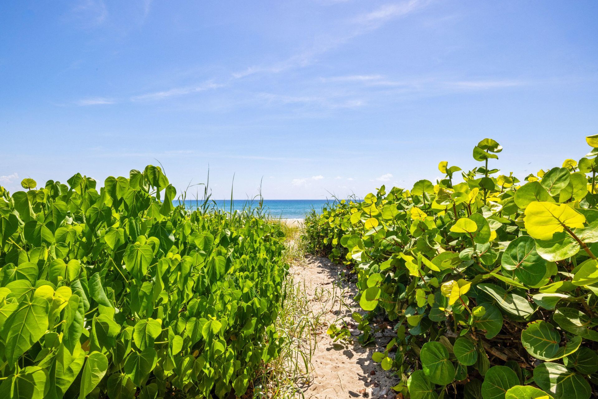 2565 S Ocean Boulevard, Unit 205-N, Highland Beach, FL 33487 Photo
