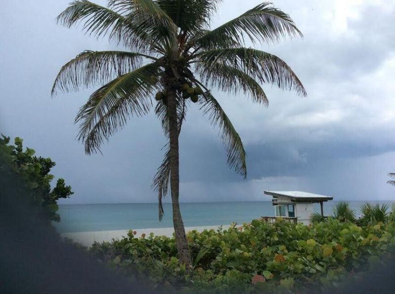 350 Horizons E, Unit 106, Boynton Beach, FL 33435 Photo