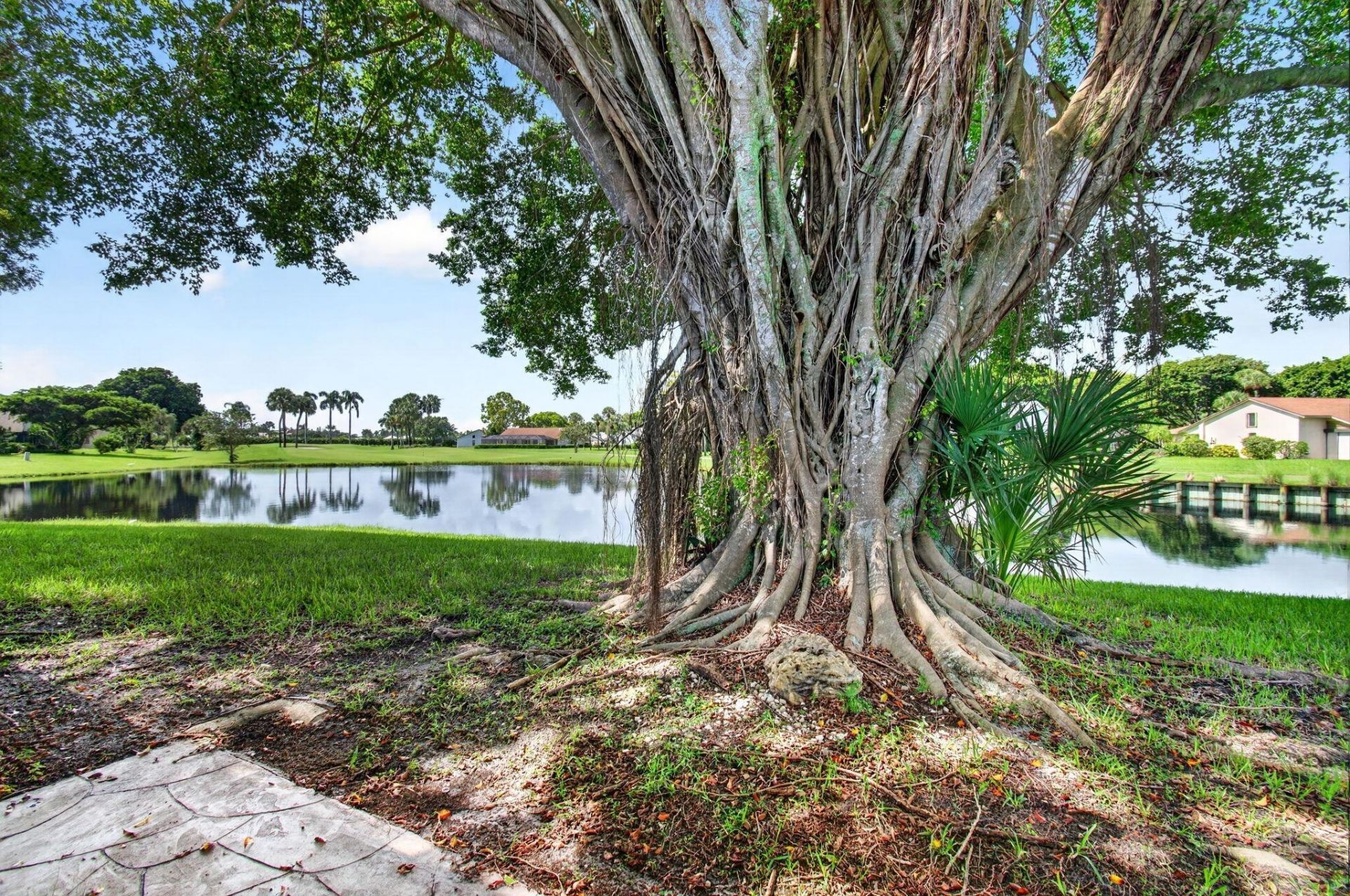 5642 Forest Oaks Terrace, Delray Beach, FL 33484 Photo