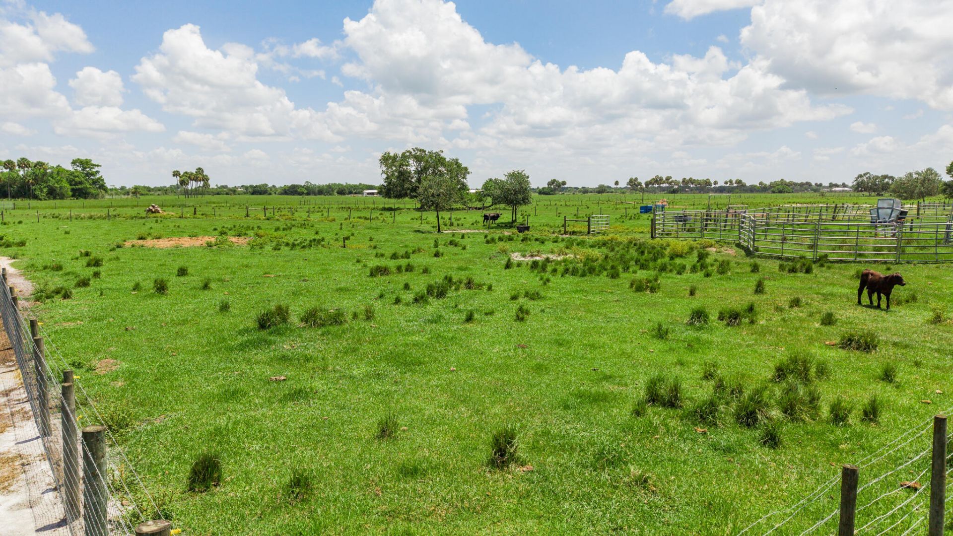 8661 E Center Street, Okeechobee, FL 34974 Photo