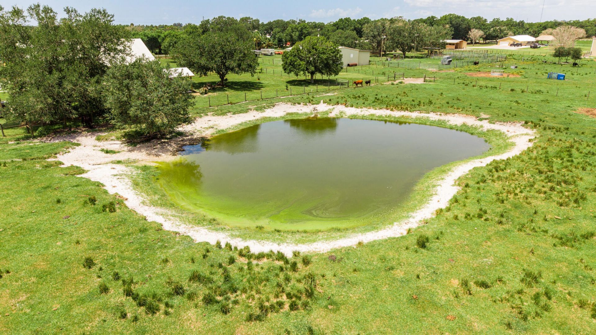 8661 E Center Street, Okeechobee, FL 34974 Photo