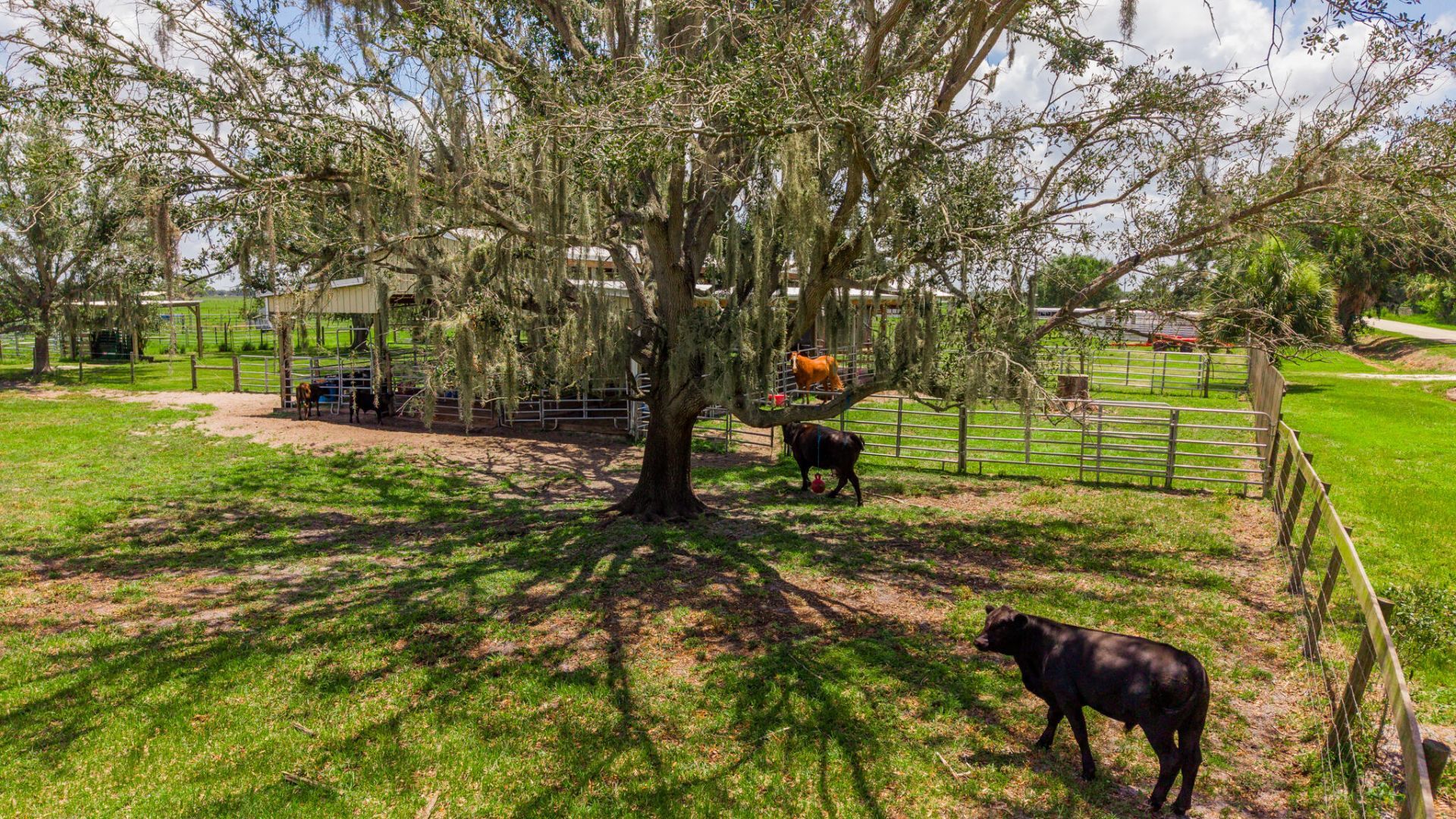 8661 E Center Street, Okeechobee, FL 34974 Photo