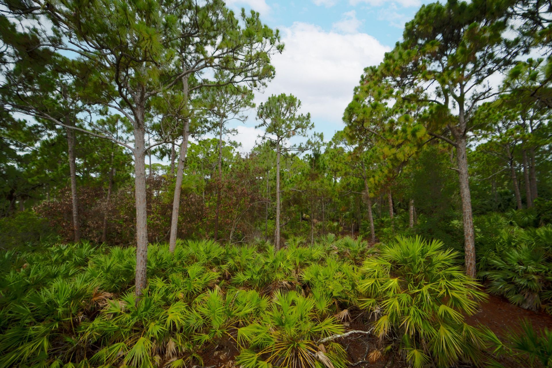 6128 SE Portofino Circle, Unit 104, Hobe Sound, FL 33455 Photo