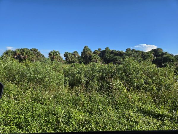 14614 NW 274th Street, Okeechobee, FL 34972