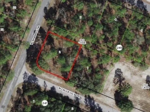 9735 N CALLA LILY Way, Dunnellon, FL 34433