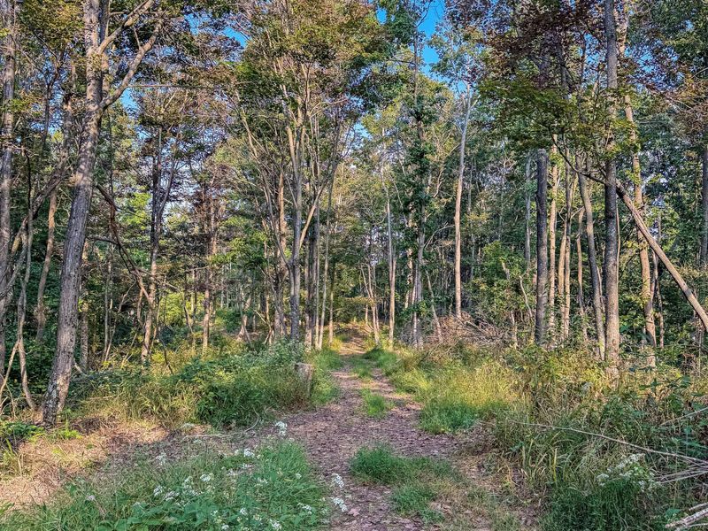 3783 Carrs Run Road , Beaver, OH 45613 Photo 28