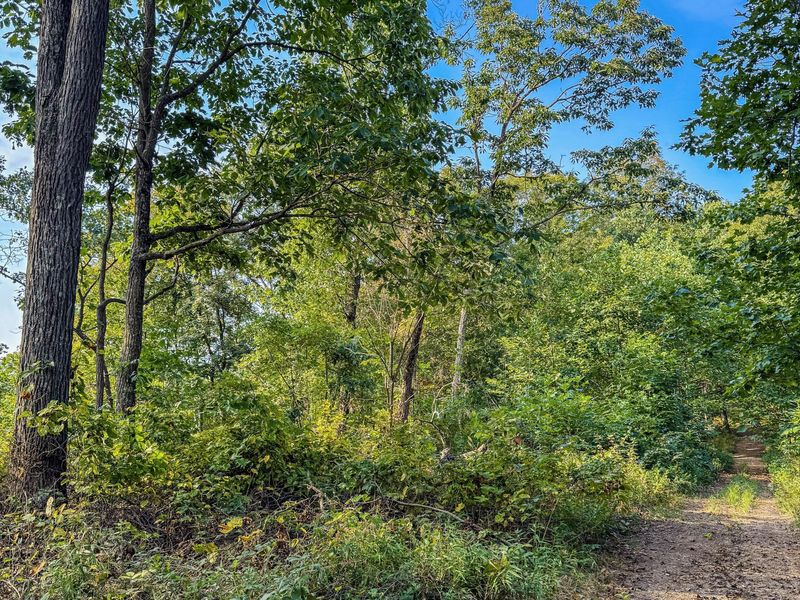 3783 Carrs Run Road , Beaver, OH 45613 Photo 30