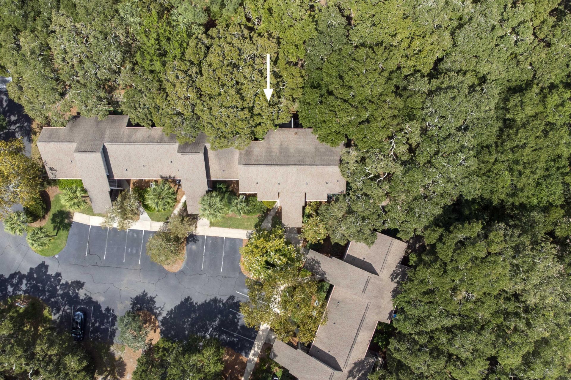 156 High Hammock Villas Photo 39