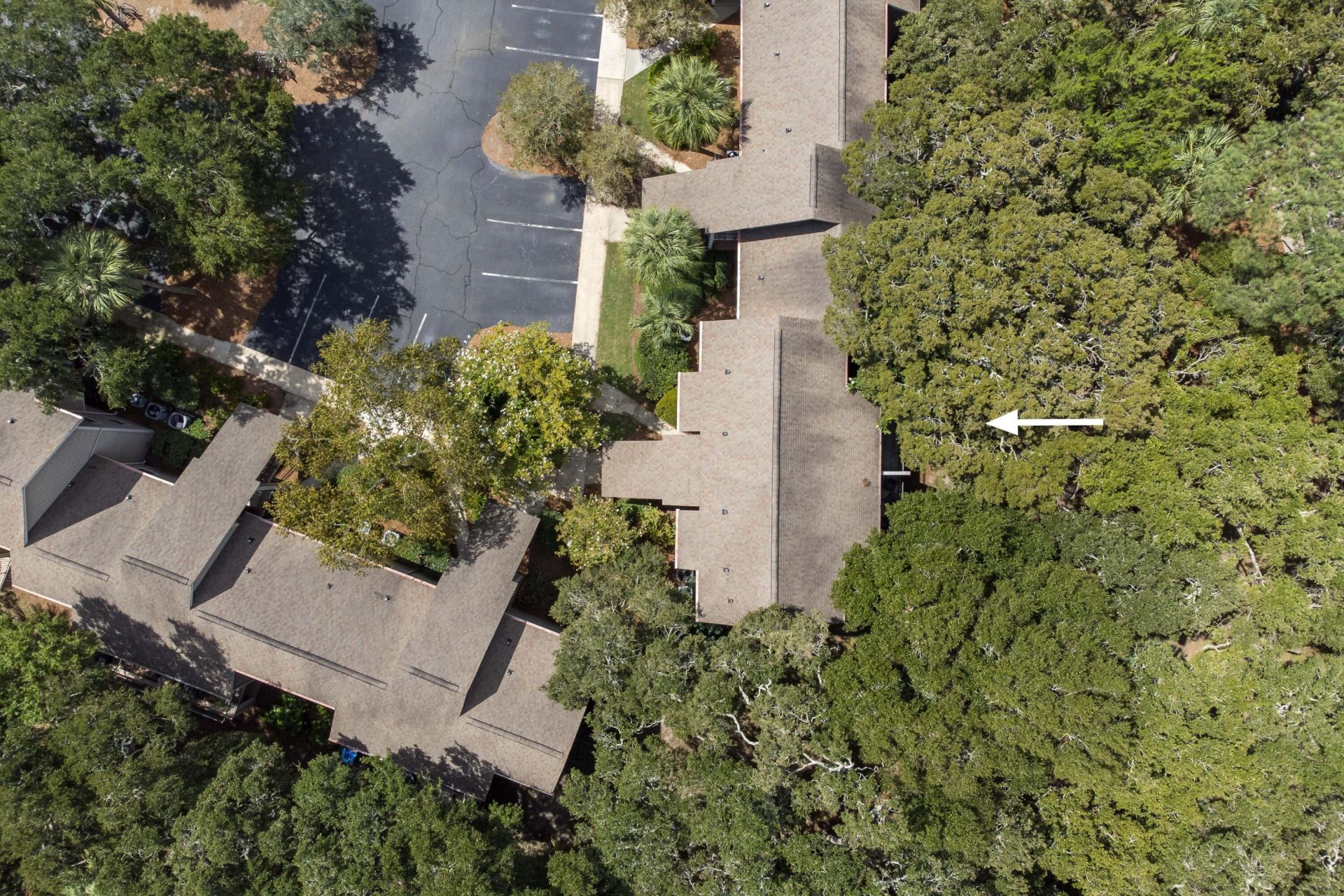 156 High Hammock Villas Photo 41