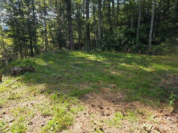 181 Poison Ivy Drive , Burnsville, NC 28714