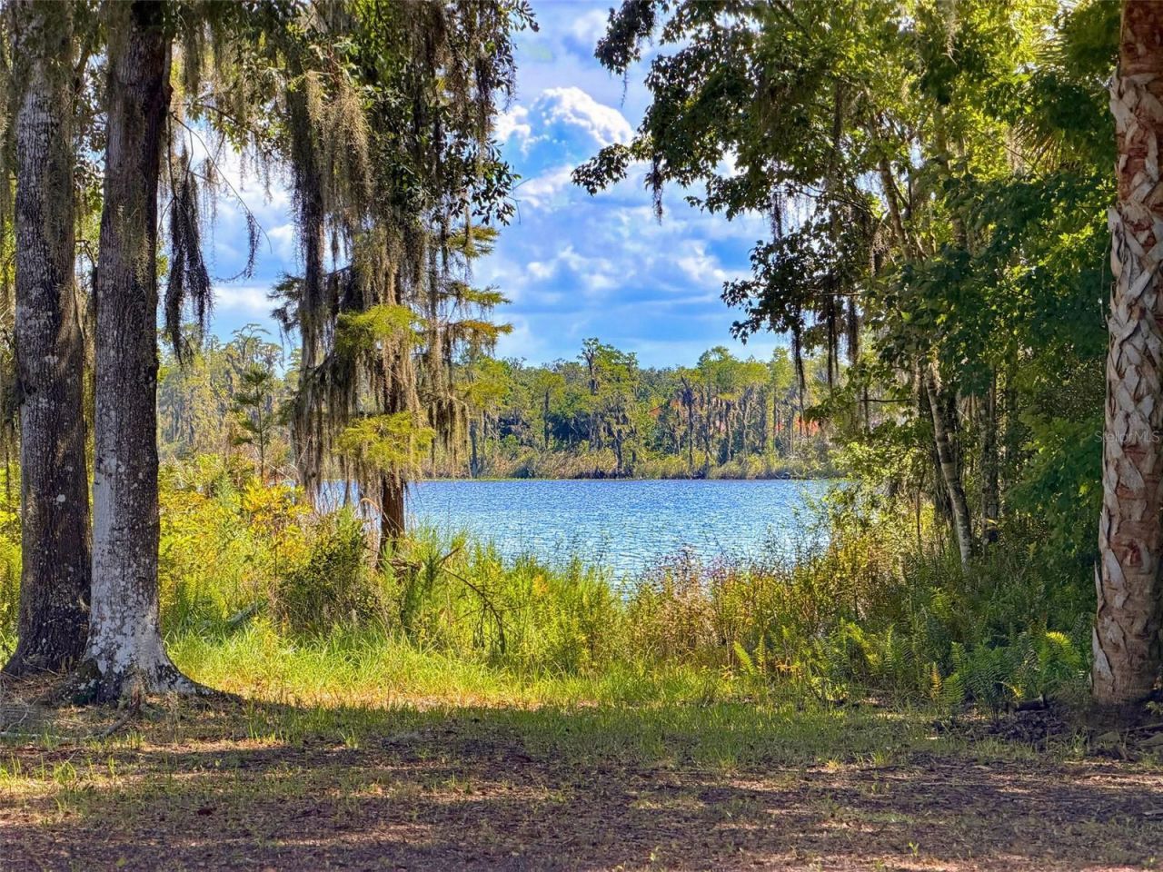 11352 Oyster Bay Cir , New Port Richey, FL 34654 Photo