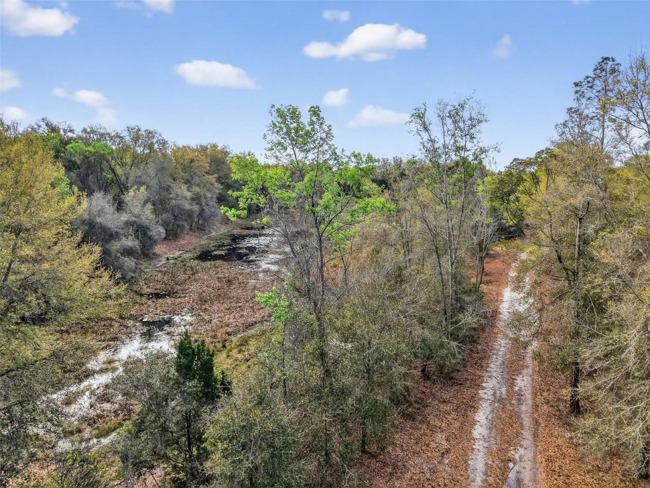Island Pond Lane , Eustis, FL 32736 Photo