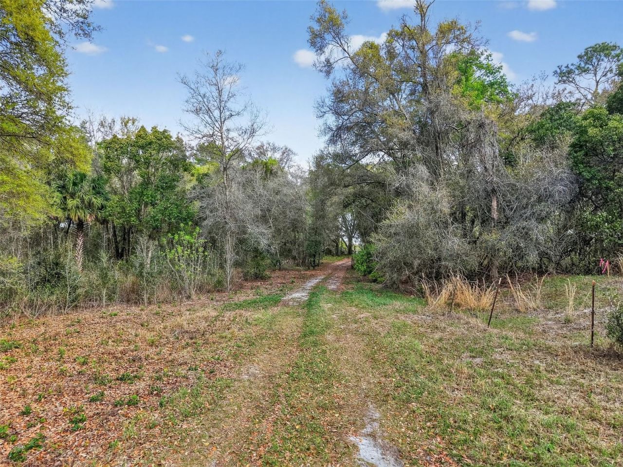 Island Pond Lane , Eustis, FL 32736 Photo