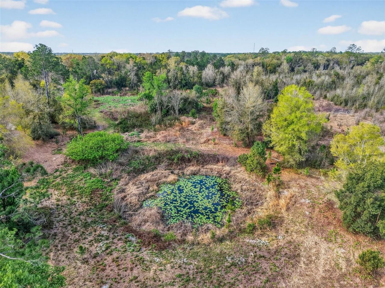 Island Pond Lane , Eustis, FL 32736 Photo
