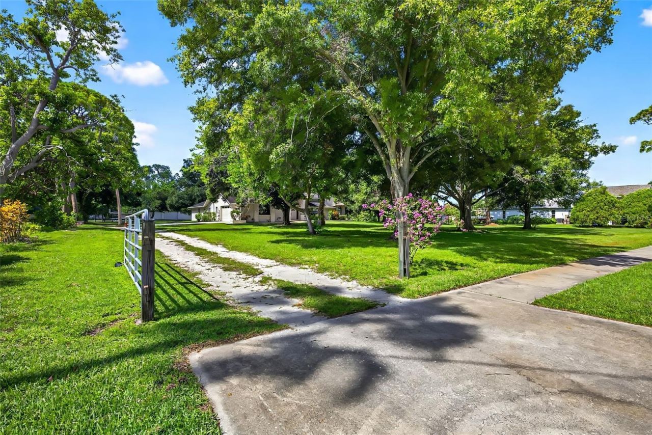 6320 66th Avenue N, Pinellas Park, FL 33781 Photo