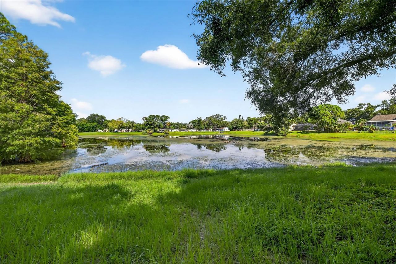 6320 66th Avenue N, Pinellas Park, FL 33781 Photo