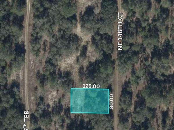 NE 148TH COURT , WILLISTON, FL 32696