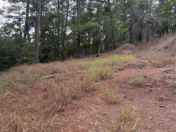 Lot 69 and 70 Taro CT, Bastrop, TX 78602