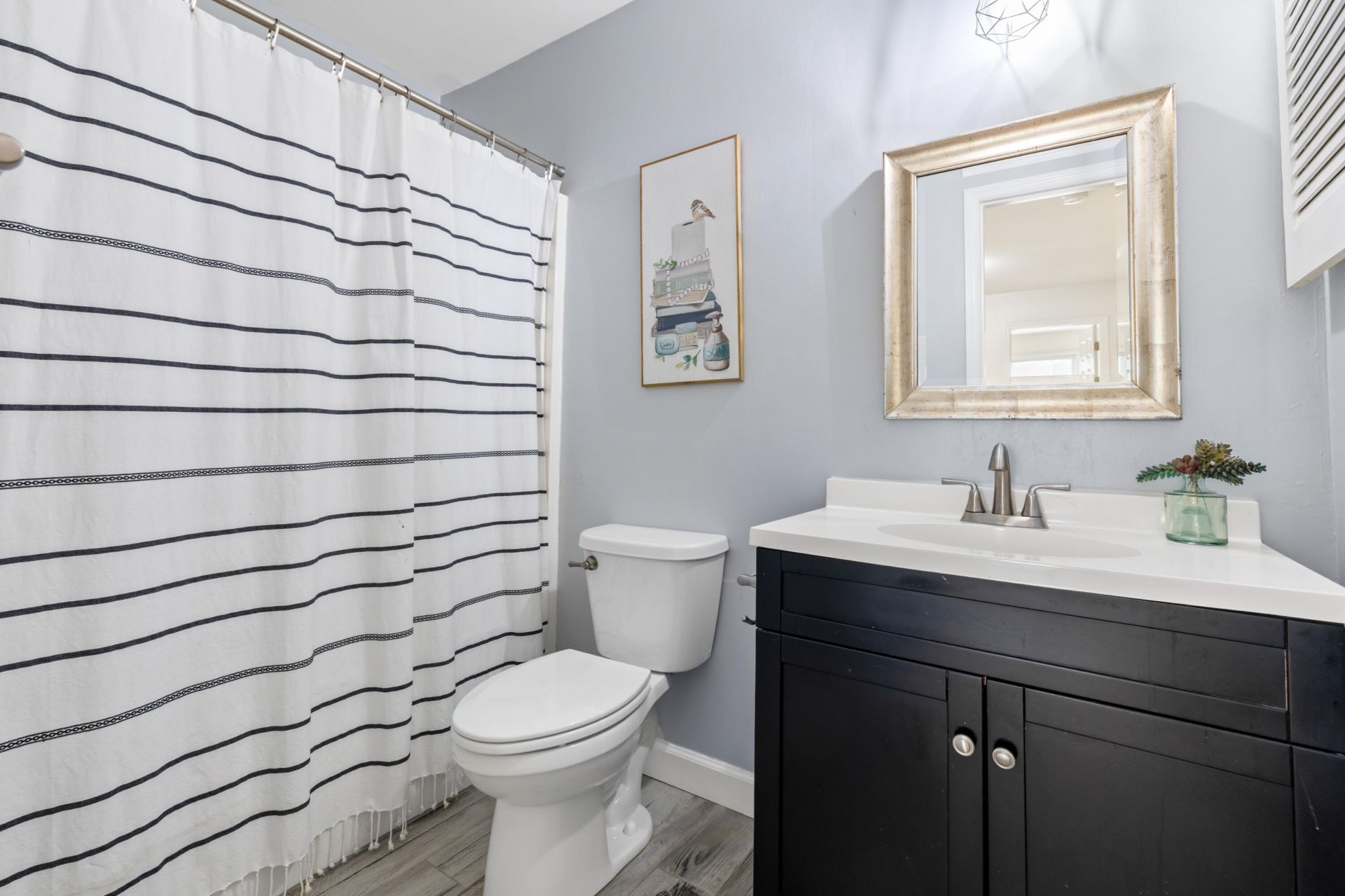 1151 Black Rush Circle Photo 33