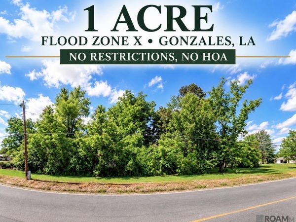 42436 La Hwy 621, Gonzales, LA 70737