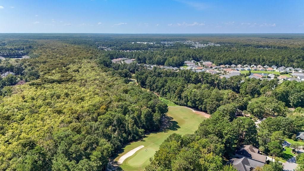 146 Black Water Dr. Photo 44