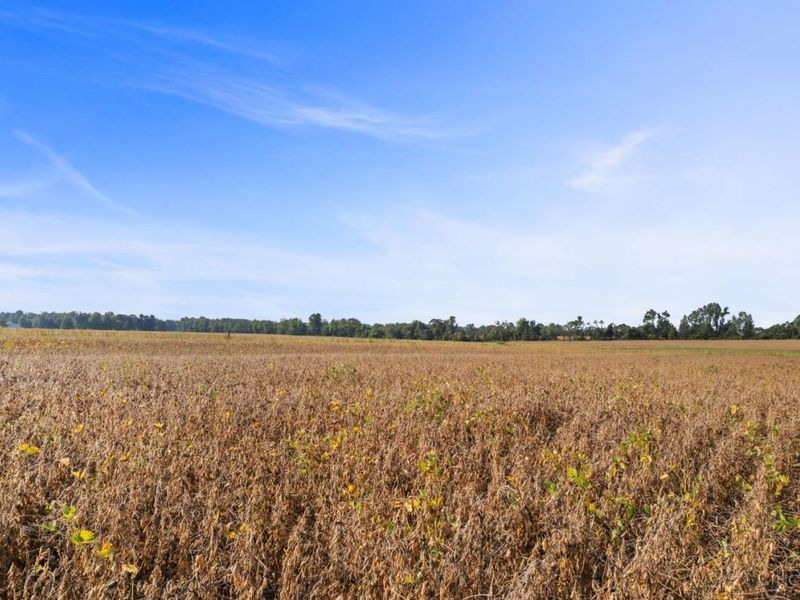 9185 Cold Corner Road, Lewis Township, OH 45121 Photo 18